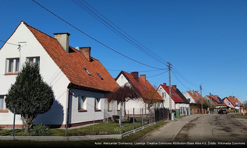 Koźlin (Braniewo)