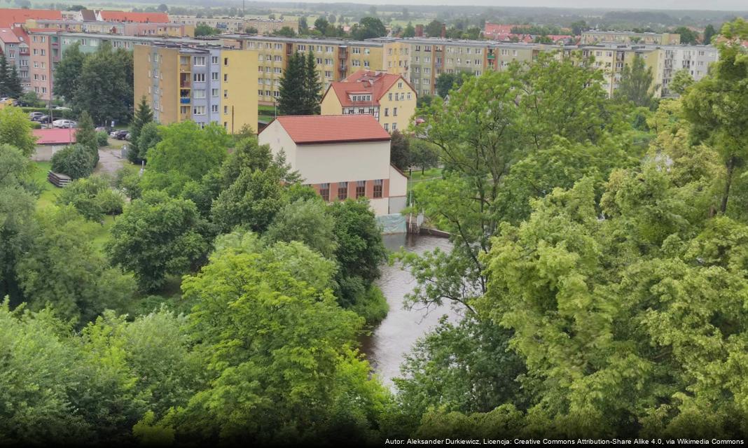 Bezpłatne warsztaty dla edukatorów w Braniewie – Program „Odkryjmy to!”