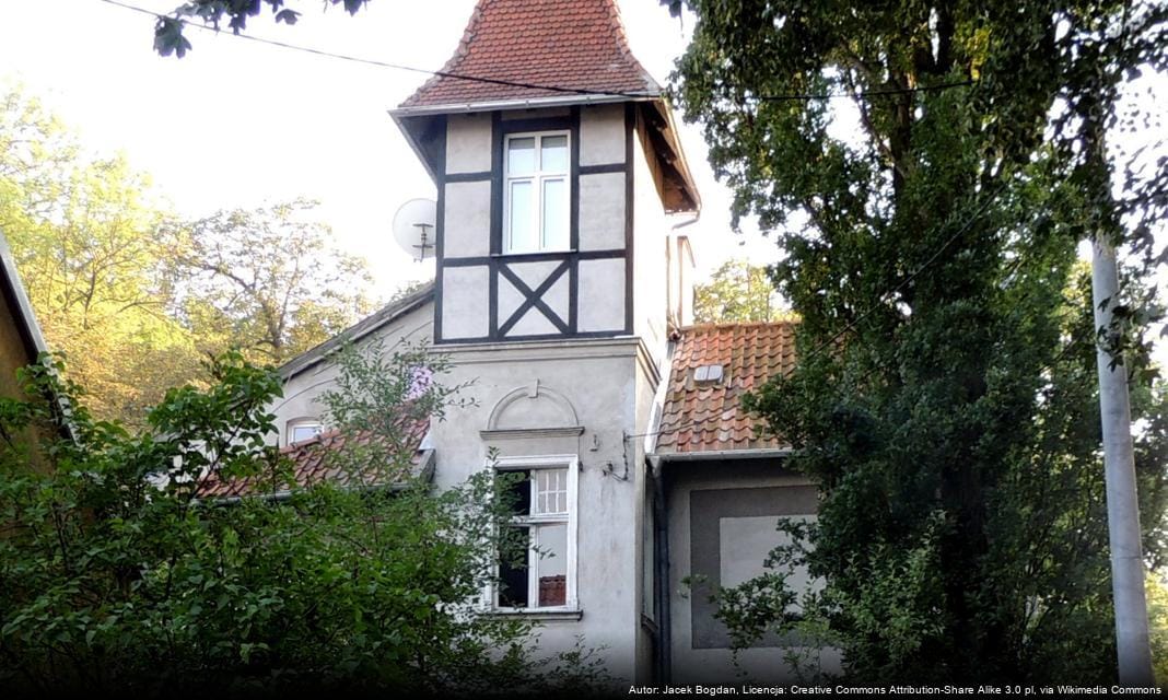 Dni Seniora w ZUS – zaproszenie dla mieszkańców Braniewa